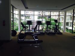 Parc Vera (D19), Condominium #153681902